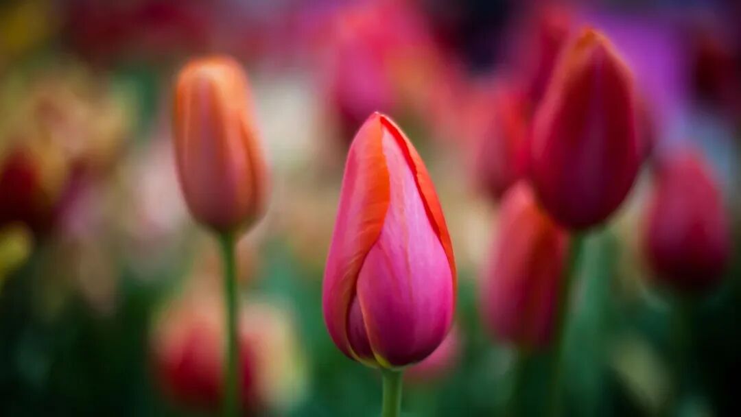 急煞人!经常脱发严重影响生活怎么办？