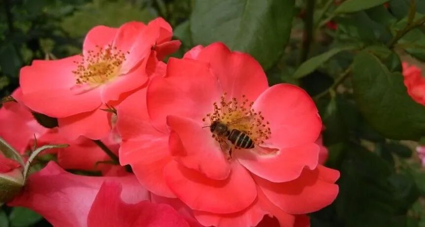 “阳气不足，阴邪内生”是生癌之本