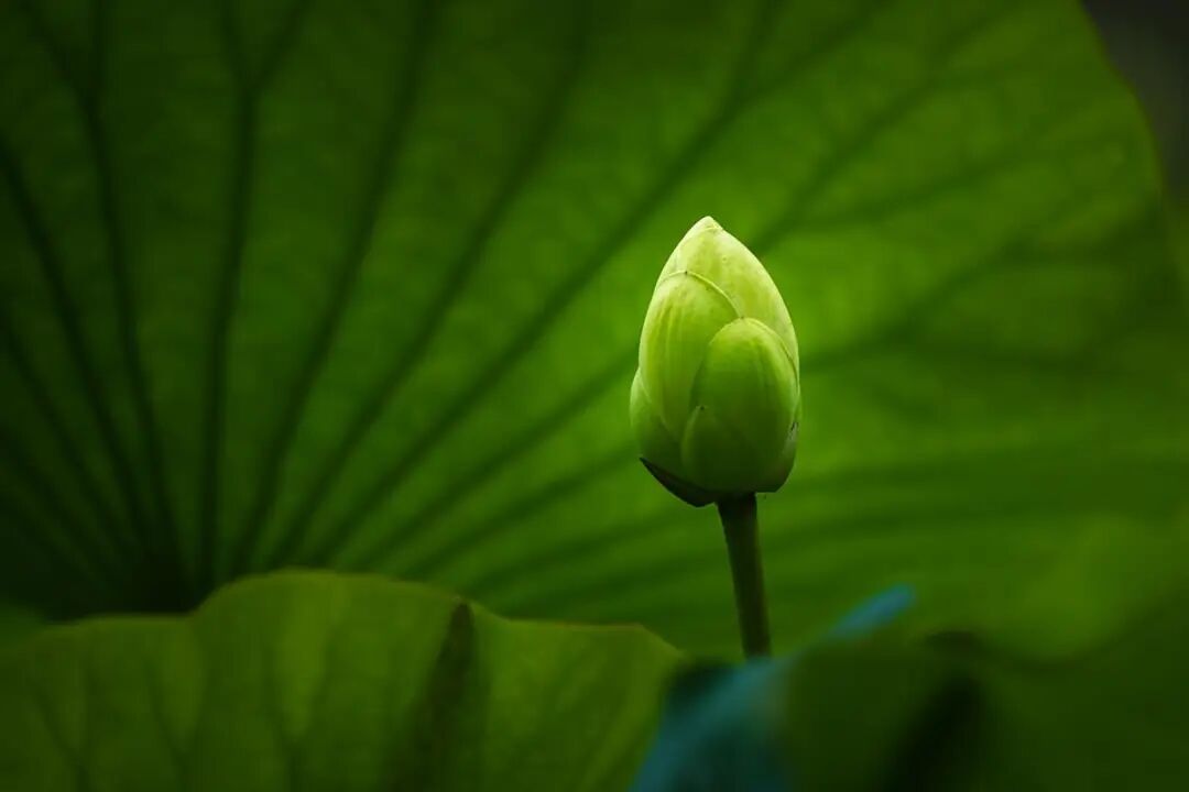 几毛钱的藿香正气水，搞定湿疹痱子脚气手癣的神药