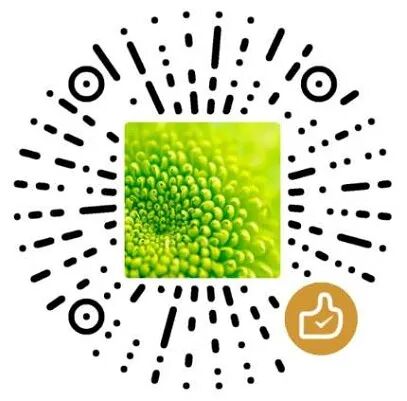 为什么心是钩脉《太素脉秘诀》把脉算命法_https://www.jmylbn.com_新闻资讯_第13张