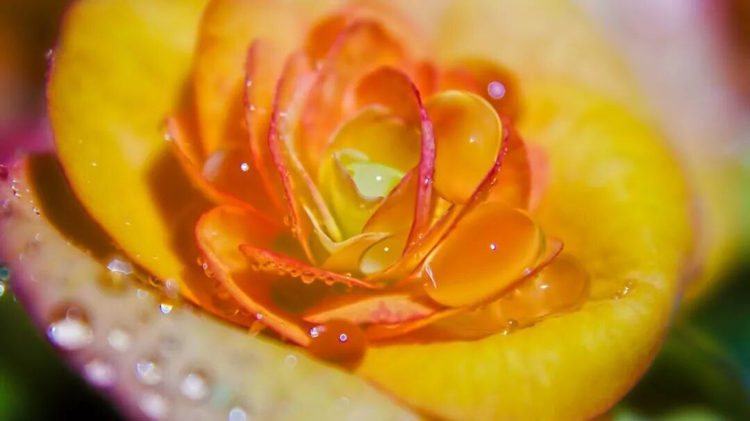 排胆结石最好用的药方之一