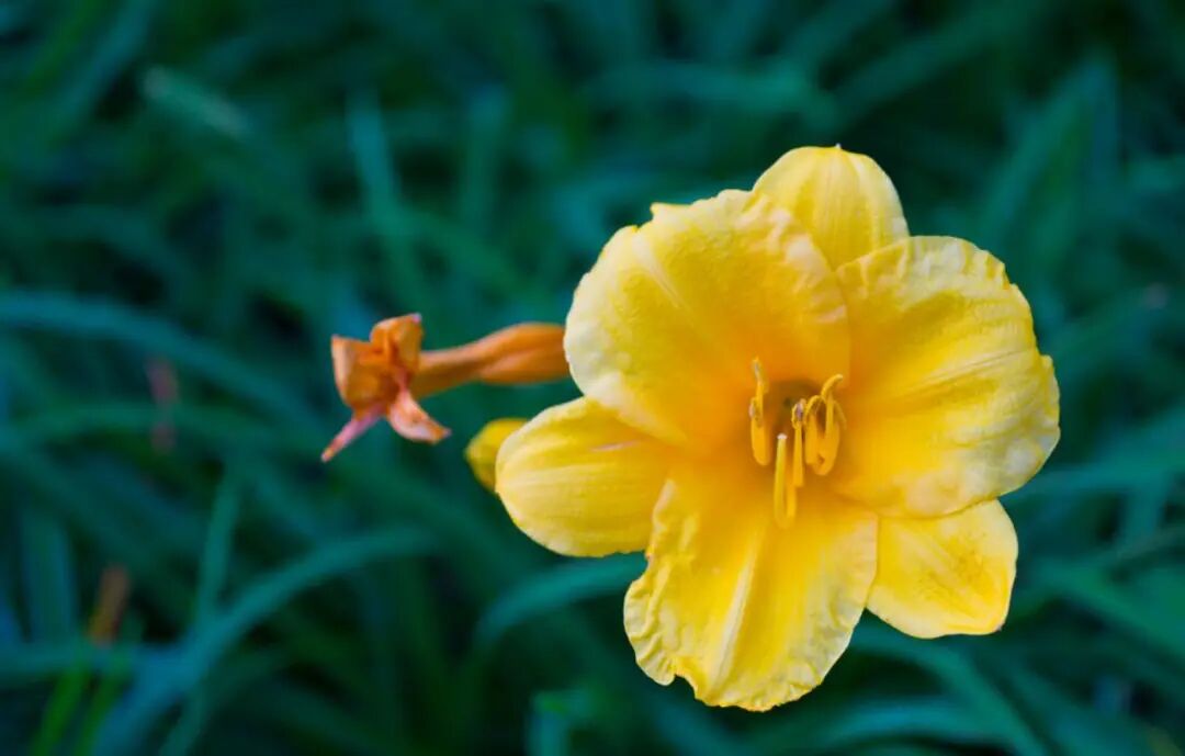 平时小病都没发现，以为健康，结果一次生病，居然是肿瘤癌症余浩