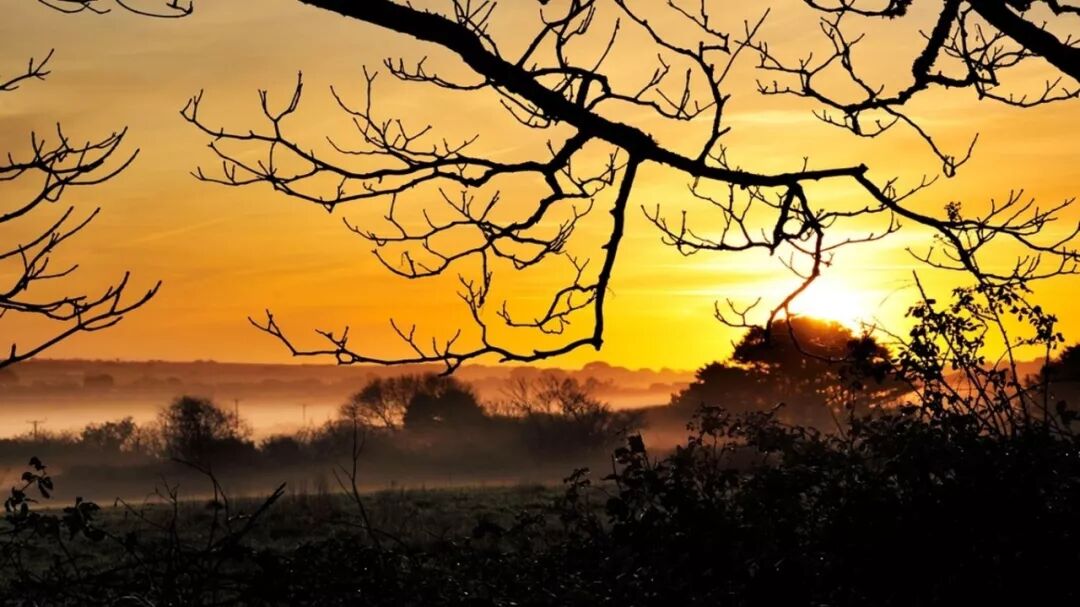 肾精亏损后身体怎么调理！【补精全攻略】