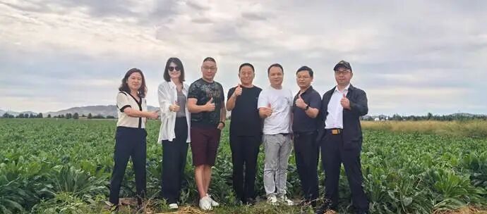 20a79c57c292b4c0f95d720b628dbc9d