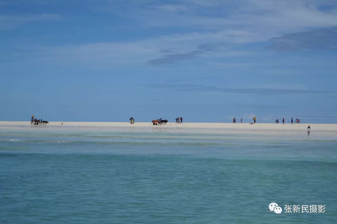 640?wx_fmt=jpeg&tp=webp&wxfrom=5&wx_lazy=1&wx_co=1