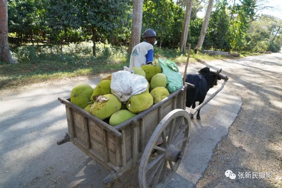 640?wx_fmt=jpeg&tp=webp&wxfrom=5&wx_lazy=1&wx_co=1