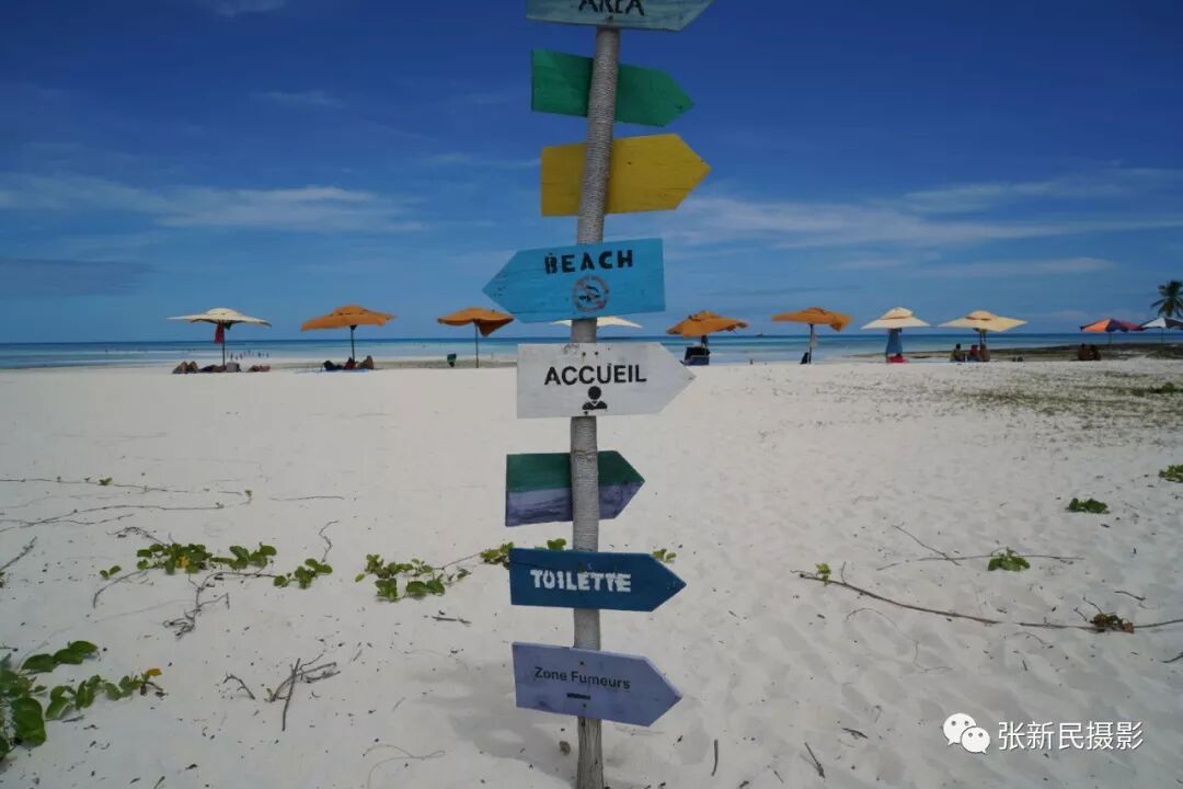 640?wx_fmt=jpeg&tp=webp&wxfrom=5&wx_lazy=1&wx_co=1