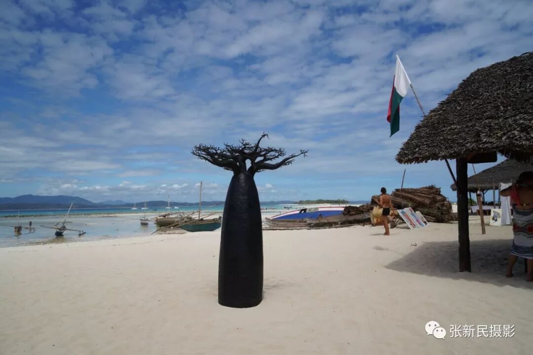 640?wx_fmt=jpeg&tp=webp&wxfrom=5&wx_lazy=1&wx_co=1