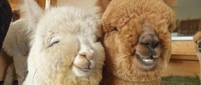 我确实爱过一个人很久