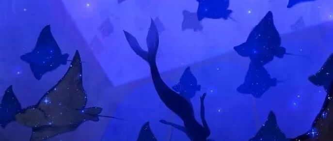 七月如期而来，愿所有的美好，如期而至。