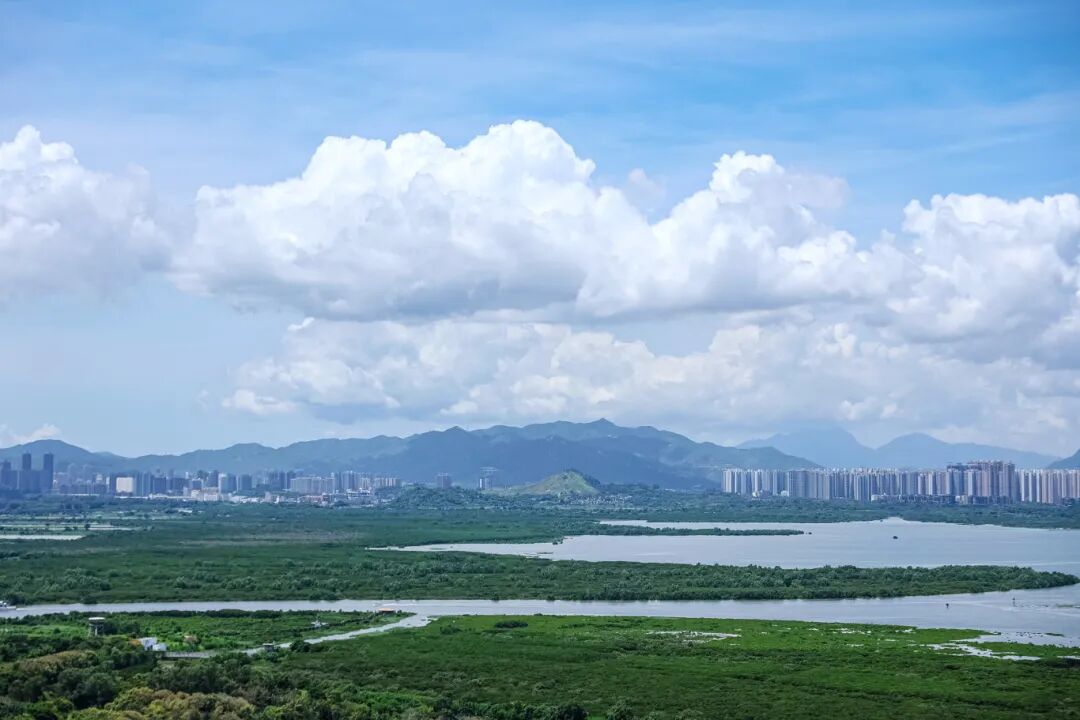 红树林及海景.jpg