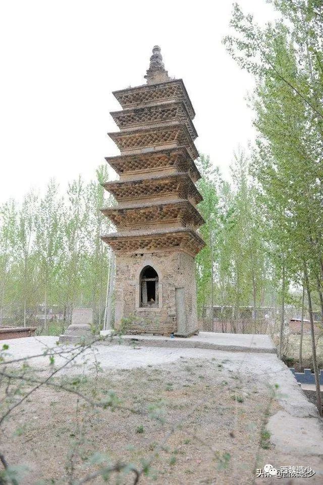 望奎红光寺肉身舍利_金山寺舍利塔_北京八大处灵光寺舍利