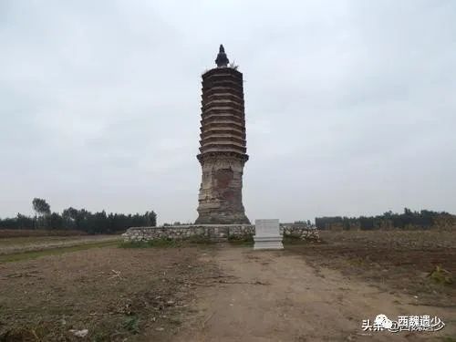 望奎红光寺肉身舍利_北京八大处灵光寺舍利_金山寺舍利塔