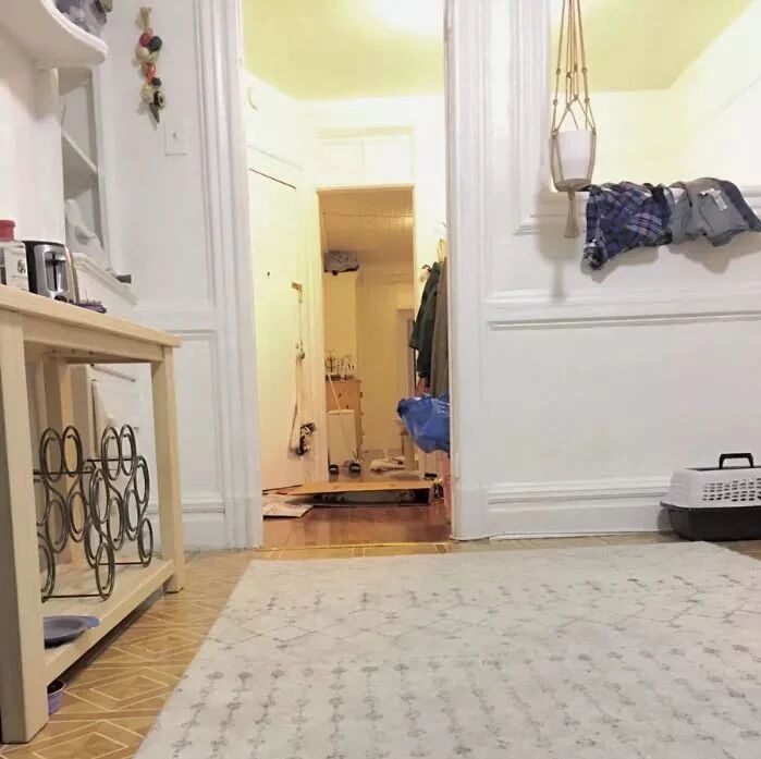 据说，只有1%不到的人能找到这只猫！