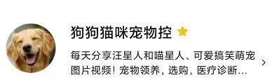 下暴雨請流浪狗進門躲雨，結果反被它給感動到了...真懂事到讓人心疼！ 寵物 第12張