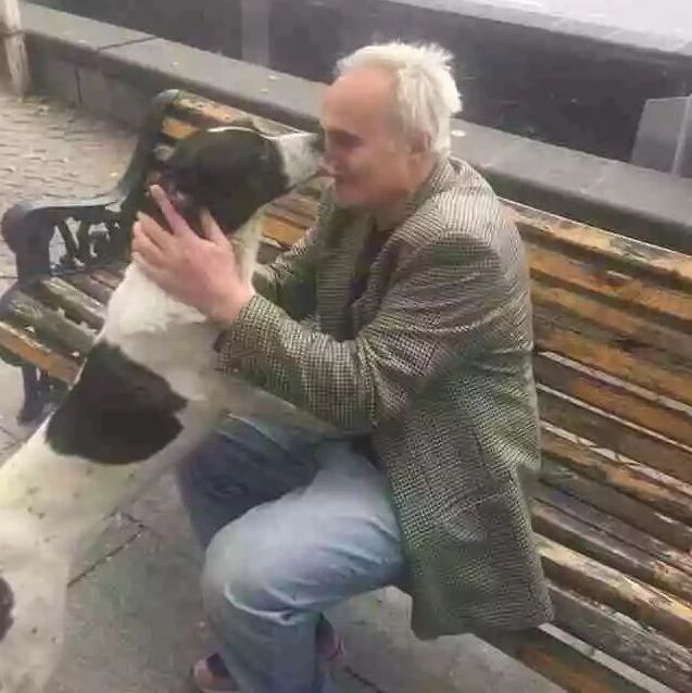 “主人，我都丢了三年了，你怎么现在才找到我...”