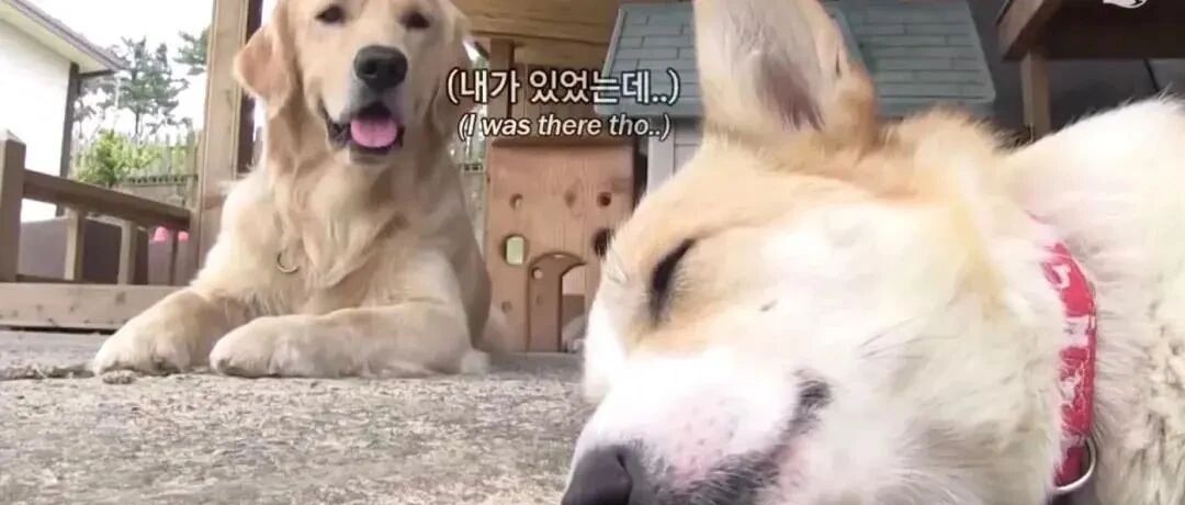 “你睡我女狗，我就对你娃下手！”