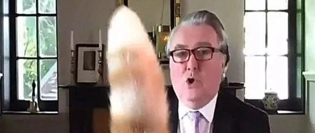 议员开视频会议突然出现一条尾巴，大家都被吓到了，然而看清后被萌到了