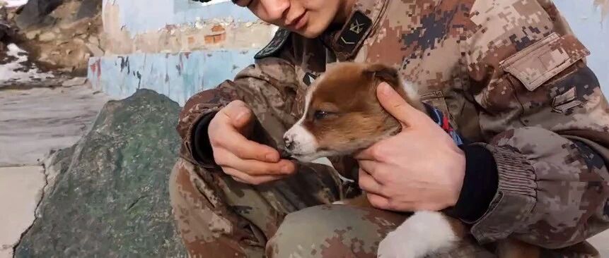 还记得那只在雪地里被兵哥哥救了的小土狗“十八”吗？现在它被宠上了天！