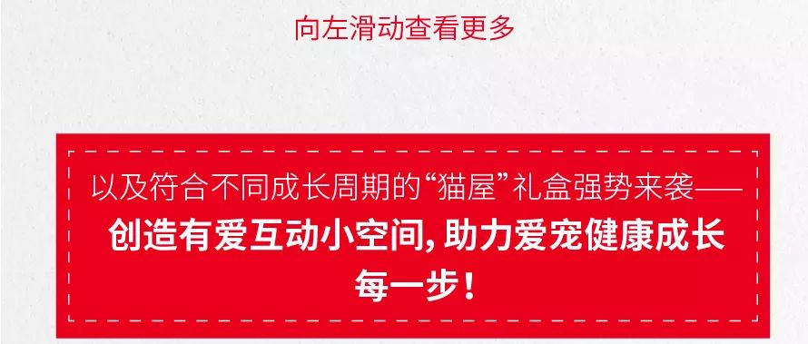 探秘鏟屎官互助微信群，今天你蓋樓了嗎？ 寵物 第26張