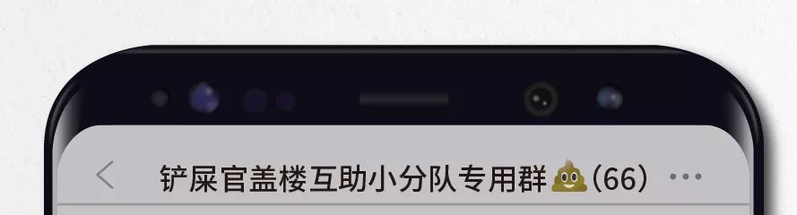 探秘鏟屎官互助微信群，今天你蓋樓了嗎？ 寵物 第10張