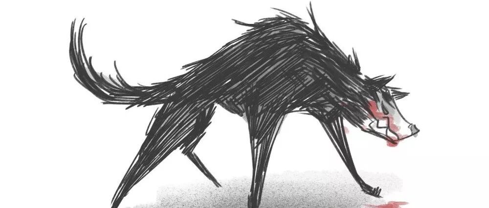 我是中华田园犬，却不得不变成“疯狗”