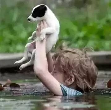 被传染的善良，每一张图片都能让你感动到流泪！