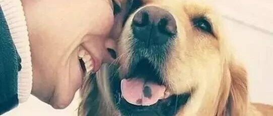 想不想养一只眼里只有你的傻狗狗？