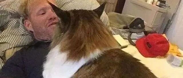 “养猫之后，我天天噩梦鬼压床！？？？”