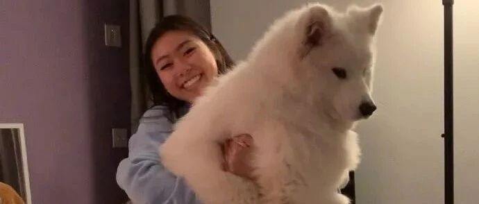 又一个惨案出现：狗狗小时候一定不能经常抱，否则..