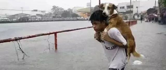 “谢谢你们，救我狗命！”