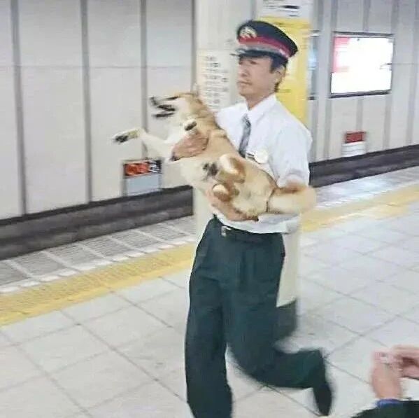 这位小狗狗你已经被逮捕了！请配合我们走一趟！