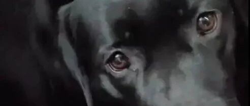 拉拉生娃生到一半去拉屎，还把娃拉在了门口，不忍直视...