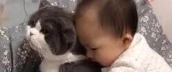 养孩子别养猫，真的对猫不好！！