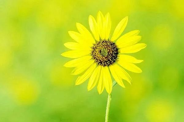 戒色后的十三大改变和29个真实案例，请看过来！-图片2