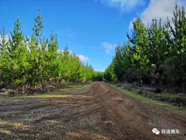%name 塔斯马尼亚站 中国赛车手储昊文的亮剑精神