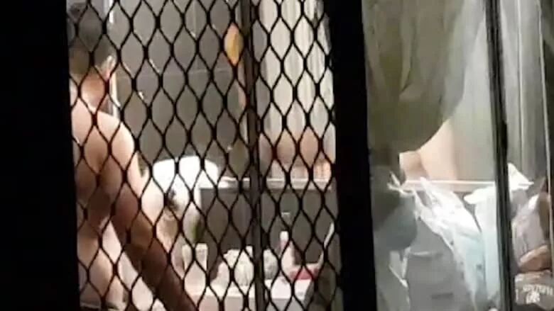 怒了！澳华男光着膀子打狗，被邻居拍下，罚$8500！别说这只是小事，已有华人遭遣返！（视频/组图） - 3