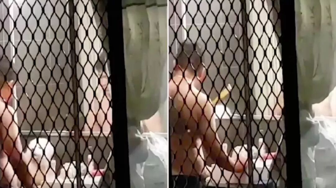 怒了！澳华男光着膀子打狗，被邻居拍下，罚$8500！别说这只是小事，已有华人遭遣返！（视频/组图） - 1