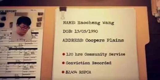怒了！澳华男光着膀子打狗，被邻居拍下，罚$8500！别说这只是小事，已有华人遭遣返！（视频/组图） - 9