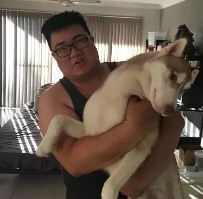 怒了！澳华男光着膀子打狗，被邻居拍下，罚$8500！别说这只是小事，已有华人遭遣返！（视频/组图） - 10