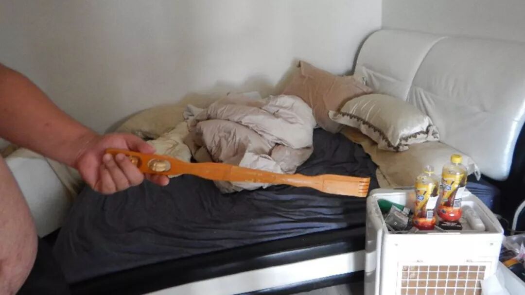 怒了！澳华男光着膀子打狗，被邻居拍下，罚$8500！别说这只是小事，已有华人遭遣返！（视频/组图） - 4