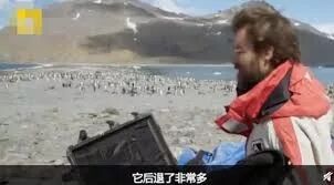 窒息！悉尼空气质量“危险”爆表！大火逼城，生灵涂炭，海滩黑化，这场大火，跟我们每个人都息息相关！（组图） - 96