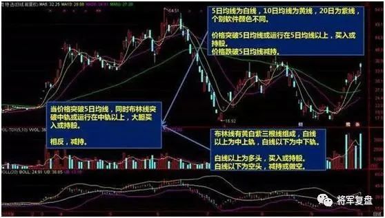 股票5日线怎么看