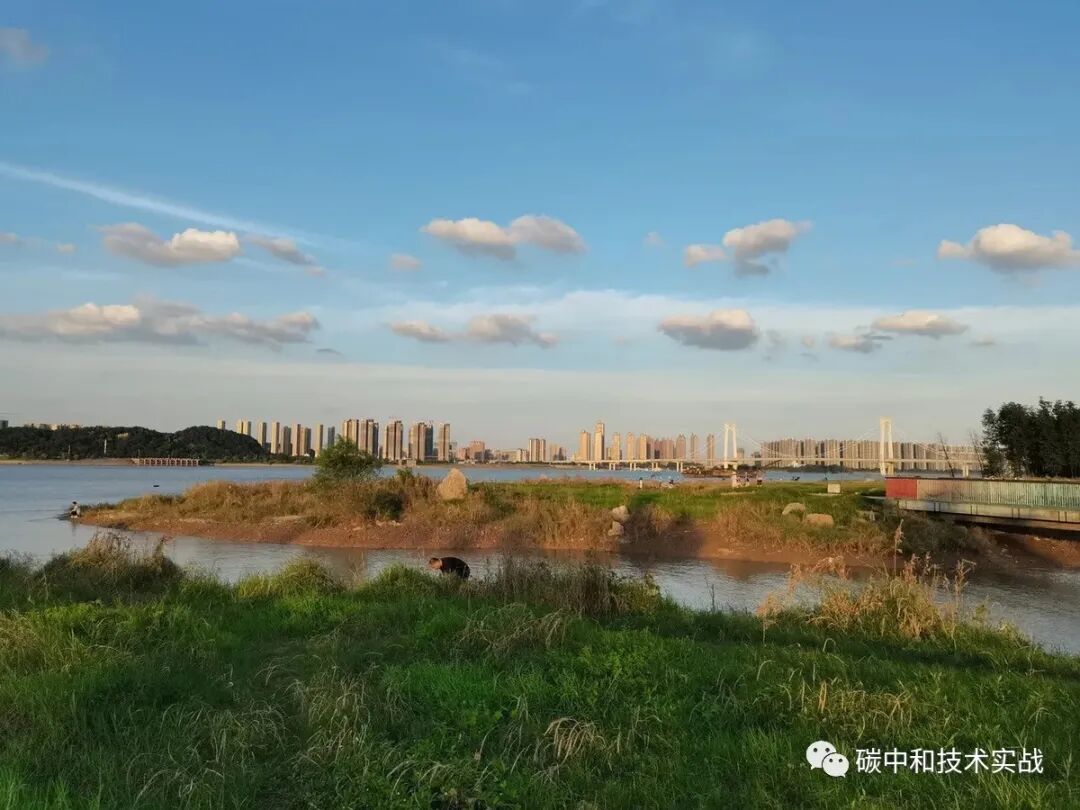 碳中和时代，我们需要什么技术来减少碳排放？的图7