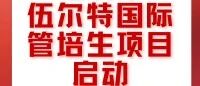 伍尔特26招聘