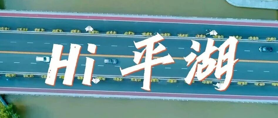 招聘｜平湖市教育局校园招聘2026学年教师公告（第三批）