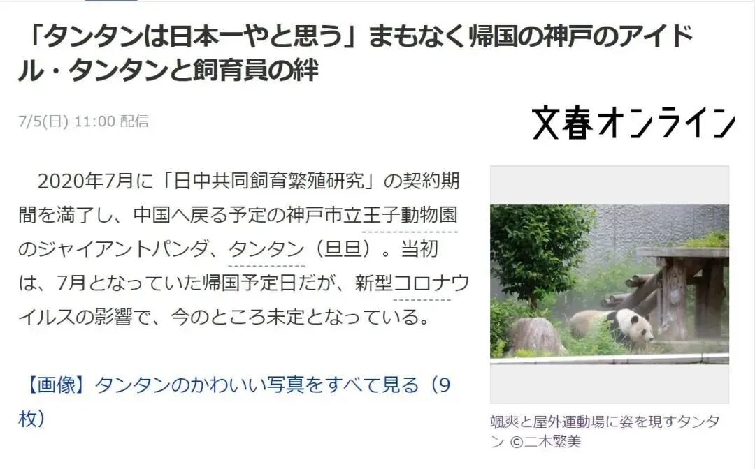 旅居国外 的大熊猫被虐待 日本人对待大熊猫的态度却是 仙贝旅行 瓦斯阅读