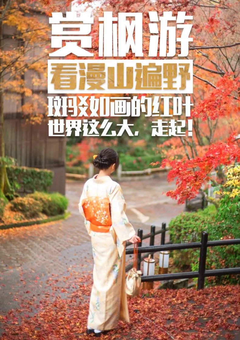 秋遊賞楓，東京大阪附近有什麼楓葉好看人又少的景點？ 旅遊 第2張