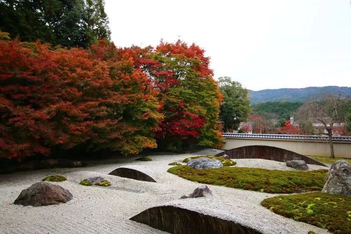 視角 | 敲黑板！「古韻京都」多個景點禁止拍照，違者重罰10000日元！ 旅遊 第10張