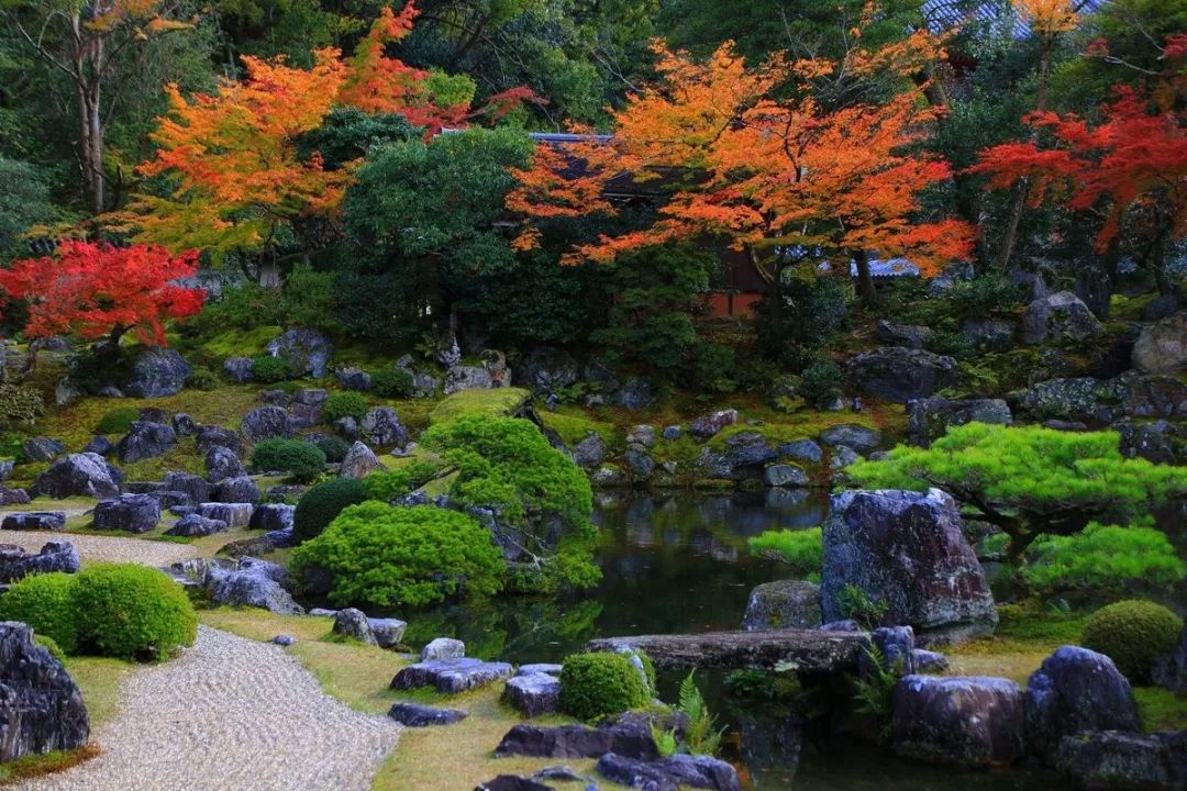 視角 | 敲黑板！「古韻京都」多個景點禁止拍照，違者重罰10000日元！ 旅遊 第15張